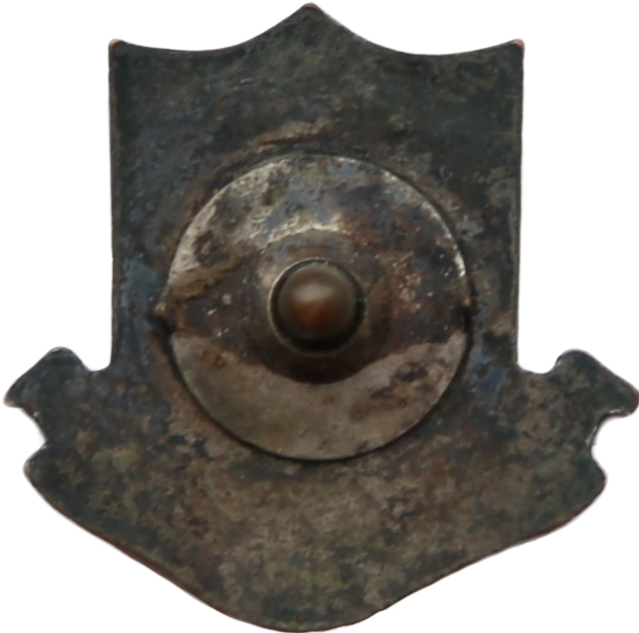 Type 1